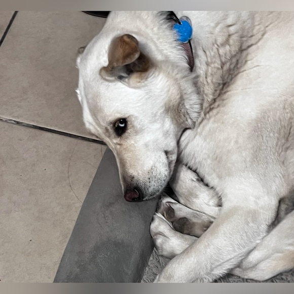 Meet your Posher, Celena - Picture 9 of 9